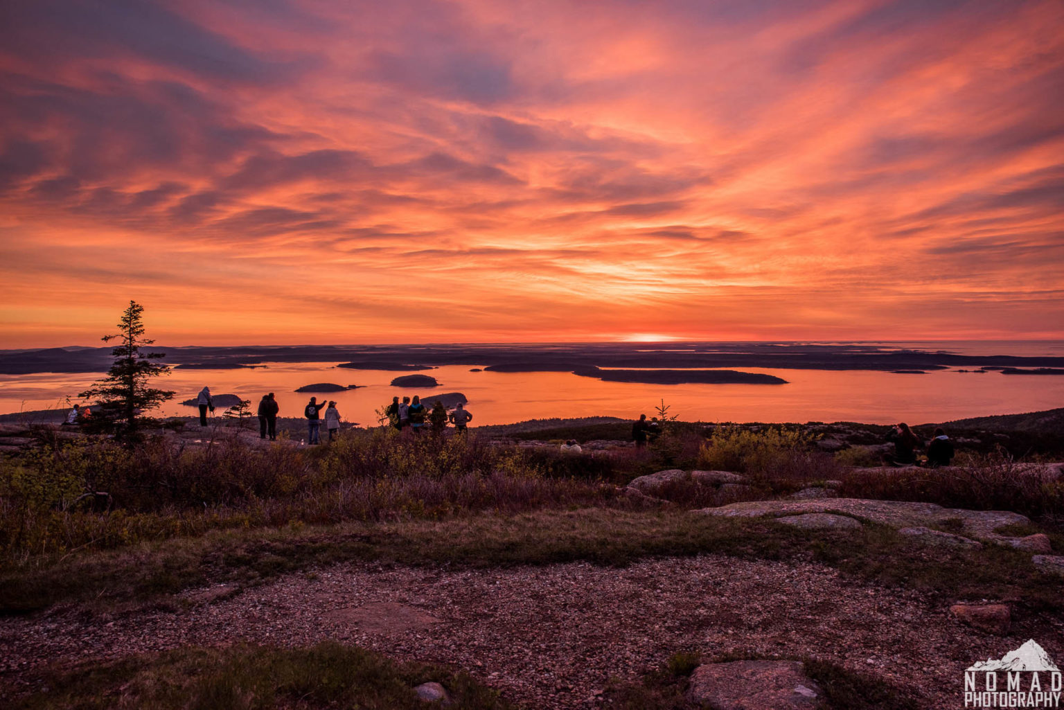 climate-anxiety-maine-conservation-voters